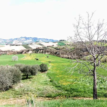 Inn Tane San Giovanni (Ascoli Piceno)